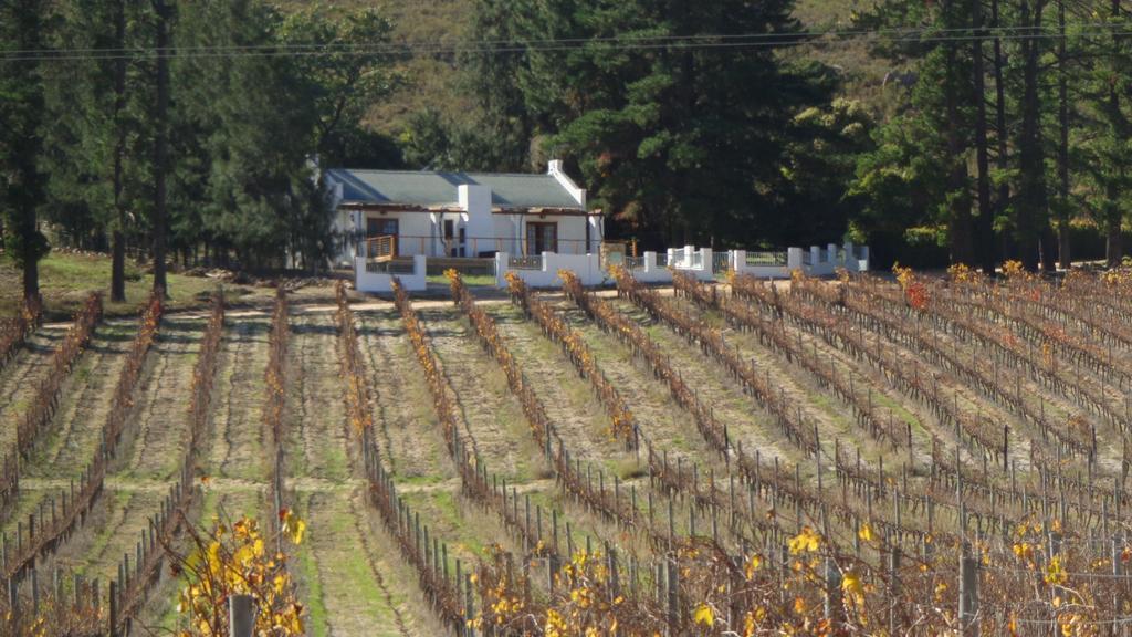 Topiary Wine Estate & Cottages Franschhoek Zimmer foto