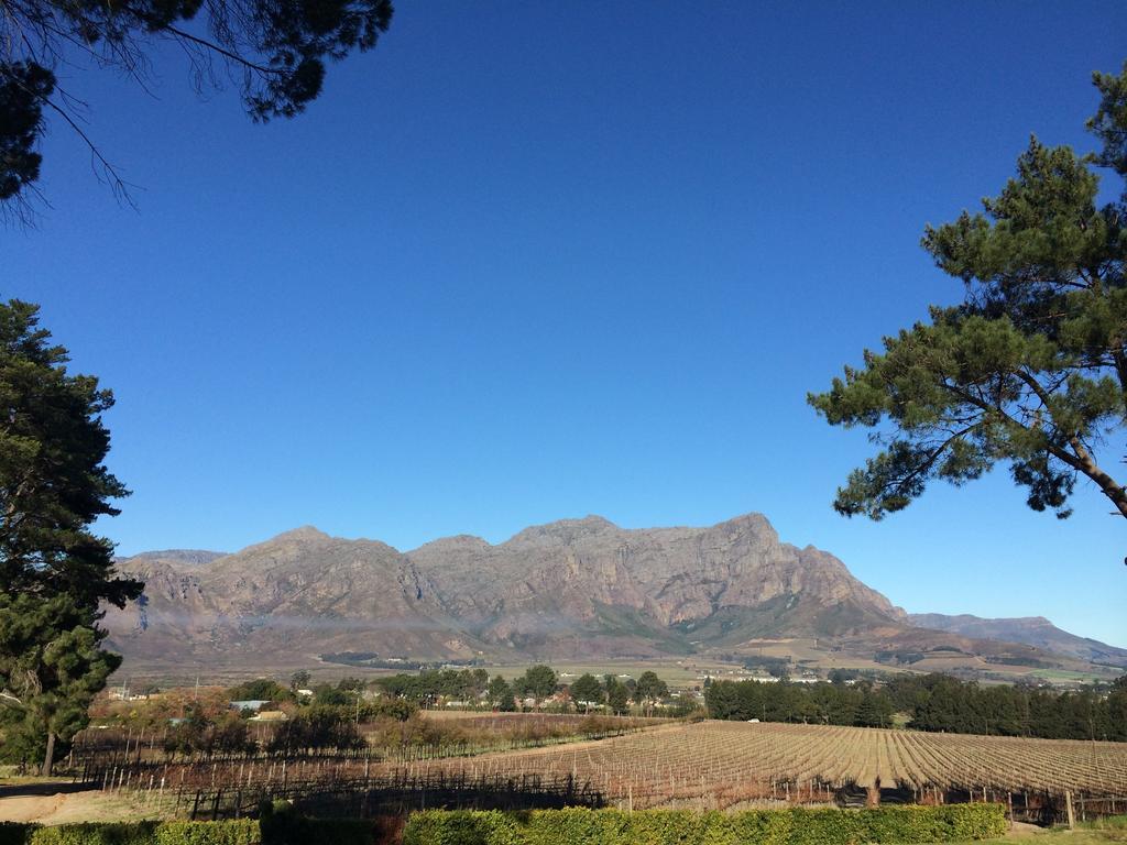 Topiary Wine Estate & Cottages Franschhoek Zimmer foto
